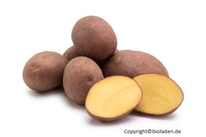 Kartoffeln Laura - kg Bioland Deutschland
