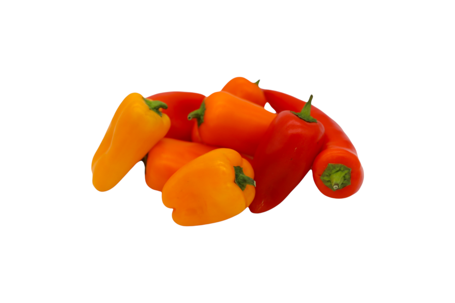 Mini Paprika | 50g EG-Bio Spanien Hk.II