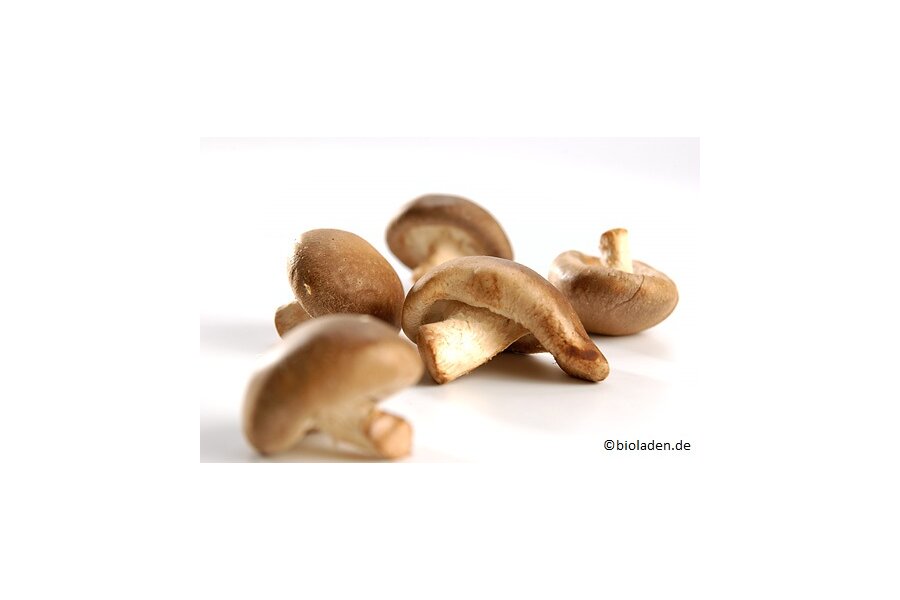 Shiitake - 100g | Bioland Deutschland