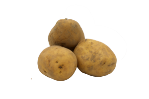 Kartoffeln Agria  - kg | vorw. festk. EG-Bio Deutschland...